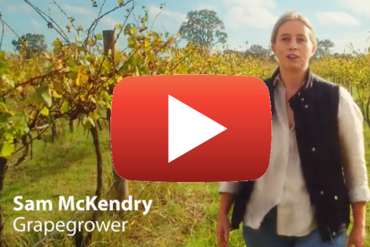 New Sustainable Winegrowing Australia program video