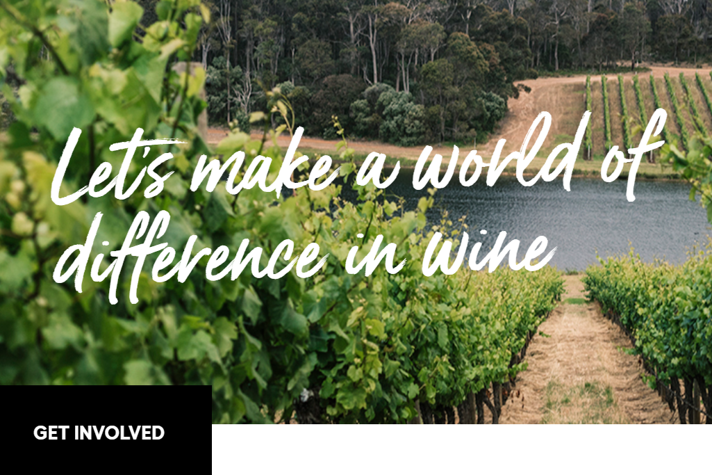 Sustainable Winegrowing Certification Training - Mudgee